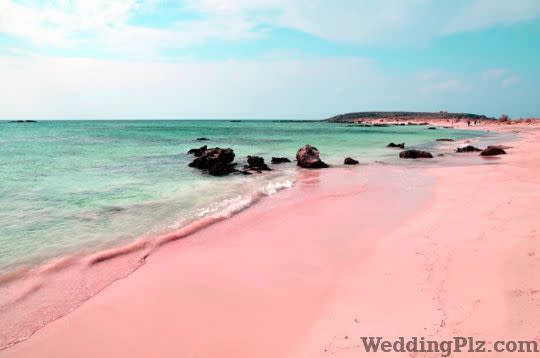 Clearship Travels and Tours Pvt Ltd Travel Agents weddingplz