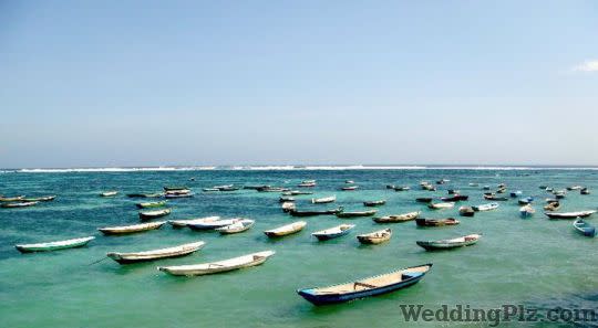 Clearship Travels and Tours Pvt Ltd Travel Agents weddingplz