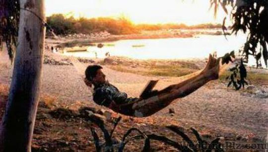 Aaditya Travels Travel Agents weddingplz