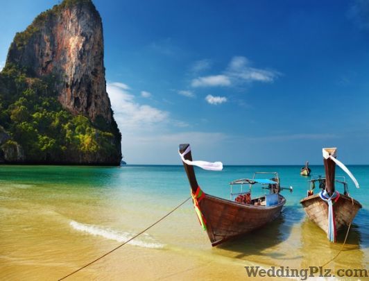 Aashna Aero Services  Travel Agents weddingplz