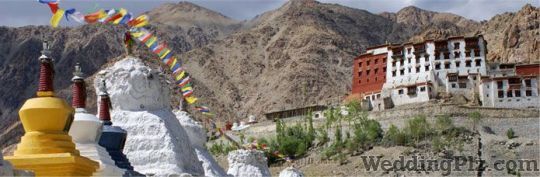 ACME Tours and Travels Pvt. Ltd. Travel Agents weddingplz