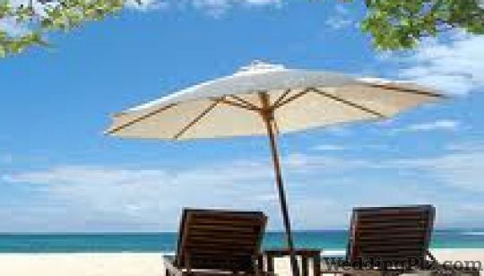 Airlines Tours Travel Agents weddingplz