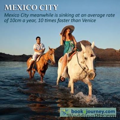Aman Travels Ltd. Travel Agents weddingplz