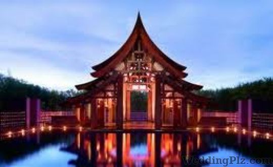 Ambe World Travels Travel Agents weddingplz