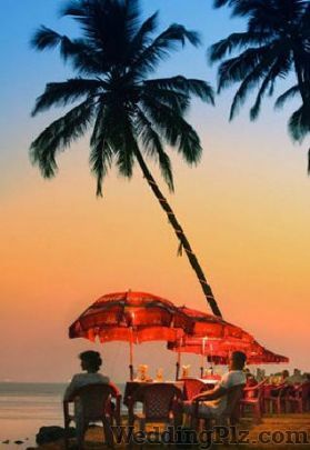 Arista Travels Pvt. Ltd. Travel Agents weddingplz