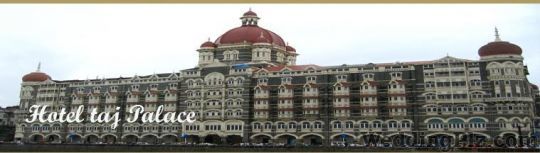 Aristocrat Tours Pvt. Ltd. Travel Agents weddingplz