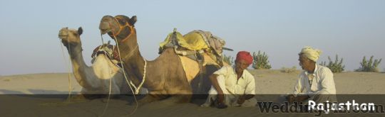 Asian Tours And Travels Travel Agents weddingplz