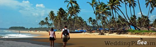 Asian Tours And Travels Travel Agents weddingplz