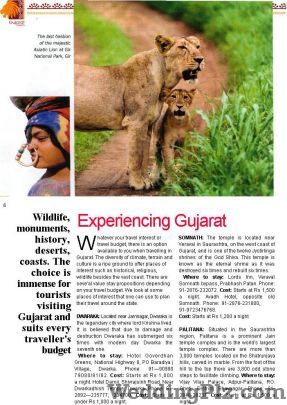 Cox and Kings India Ltd. Travel Agents weddingplz