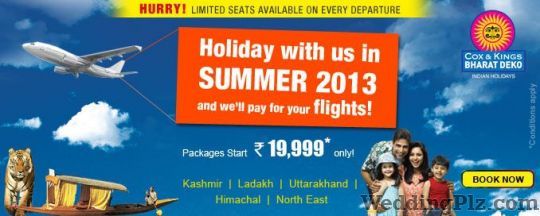 Cox and Kings India Ltd. Travel Agents weddingplz