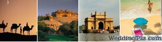 Destination Holidays Travel Agents weddingplz