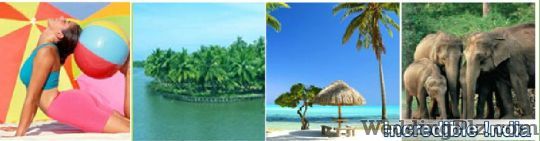 Destination Holidays Travel Agents weddingplz