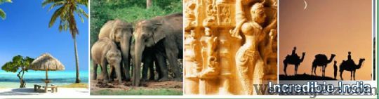 Destination Holidays Travel Agents weddingplz