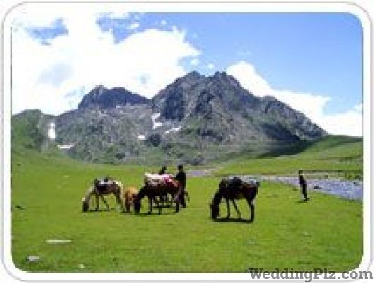 Destination India Travel Centre Pvt Ltd Travel Agents weddingplz