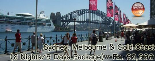 DHV Travels Pvt. Ltd. Travel Agents weddingplz