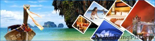 Dolphin Travels Pvt. Ltd. Travel Agents weddingplz