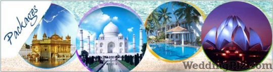 Dolphin Travels Pvt. Ltd. Travel Agents weddingplz