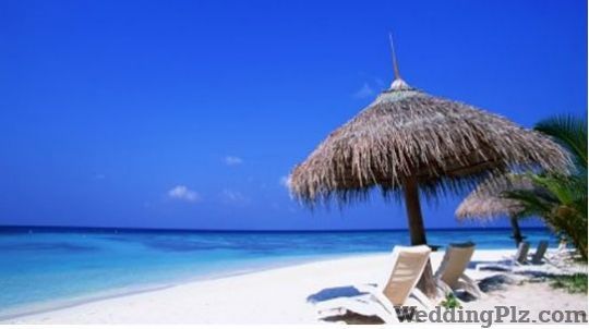 Dreamz Travels and Tours  Travel Agents weddingplz