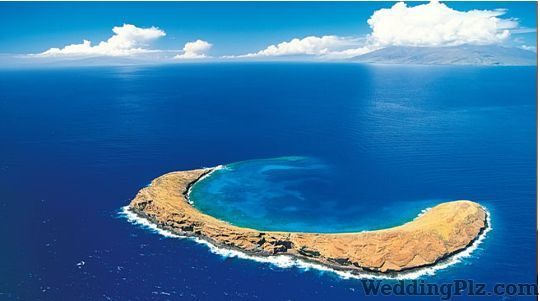 Dreamz Travels and Tours  Travel Agents weddingplz