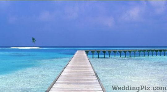 Dreamz Travels and Tours  Travel Agents weddingplz