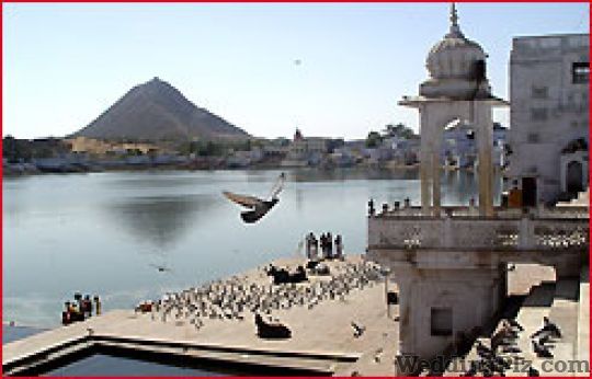 Dynamic Tours Pvt. Ltd. Travel Agents weddingplz