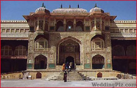 Dynamic Tours Pvt. Ltd. Travel Agents weddingplz