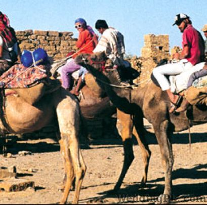 Dynamic Tours Pvt. Ltd. Travel Agents weddingplz