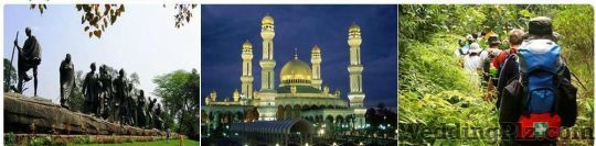 Elroy Tours and Travels Travel Agents weddingplz