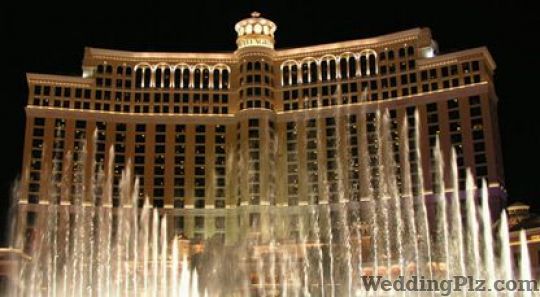 Fore Representations and Travels Pvt. Ltd. Travel Agents weddingplz