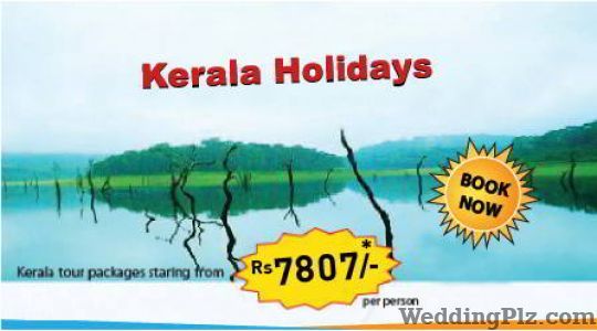 Great India Tour Company Travel Agents weddingplz