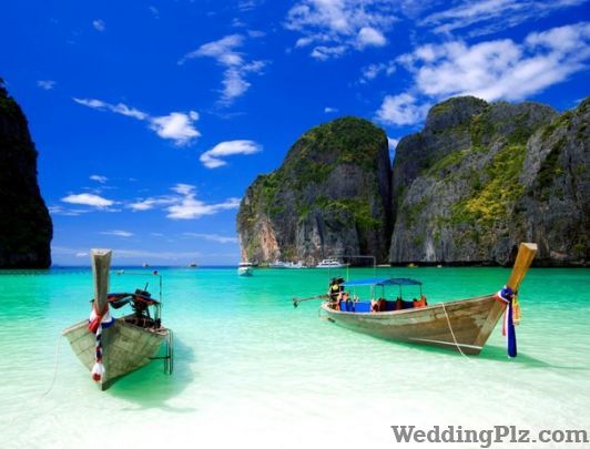 Green View Travels  Travel Agents weddingplz