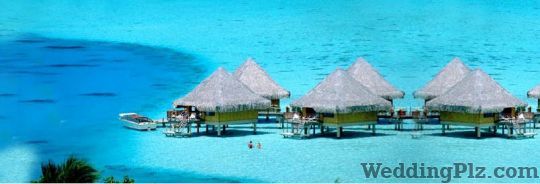 Gujral Tours and Travels Pvt. Ltd. Travel Agents weddingplz