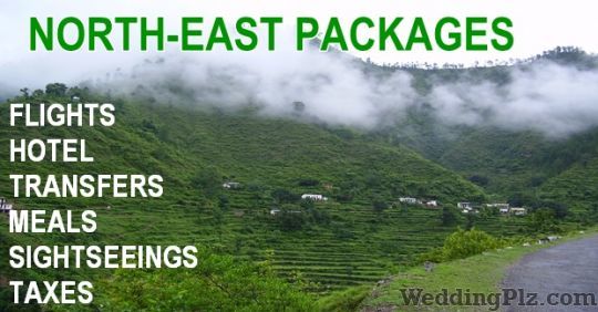 Samaara International Tours and Travels Travel Agents weddingplz