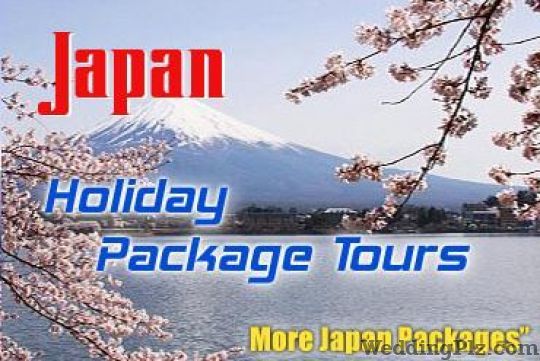 H.I.S. Travel India Pvt. Ltd. Travel Agents weddingplz