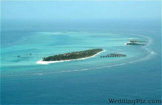 Horizons Dream Vacations Pvt. Ltd. Travel Agents weddingplz