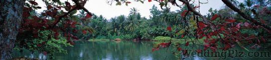 India Insight Tours Pvt. Ltd. Travel Agents weddingplz