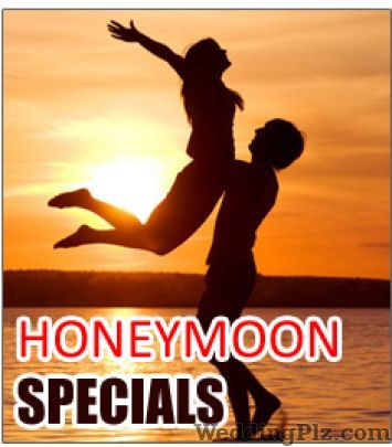 Indian Holiday Pvt. Ltd. Travel Agents weddingplz