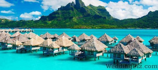 Its Travels And Tours Pvt. Ltd. Travel Agents weddingplz