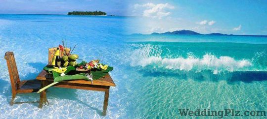 Its Travels And Tours Pvt. Ltd. Travel Agents weddingplz
