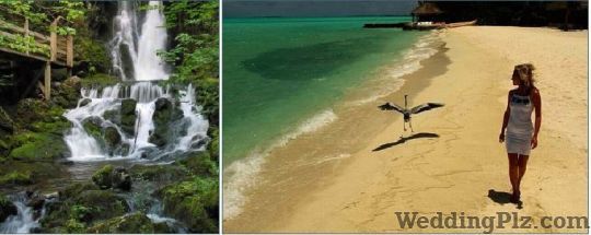 Jai Travels India Pvt. Ltd. Travel Agents weddingplz