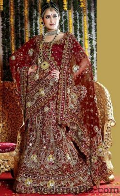 Ashapura Silks Wedding Lehnga and Sarees weddingplz