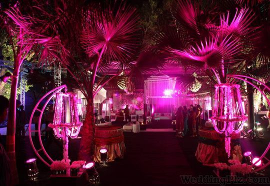 IRIS Creation Wedding Planners weddingplz