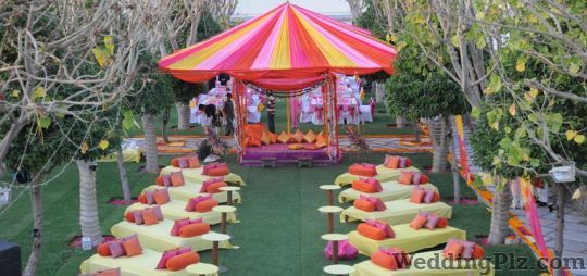 Mystical Moments Wedding Planners weddingplz