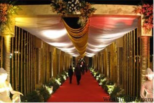 The Partyz Wedding Planners weddingplz