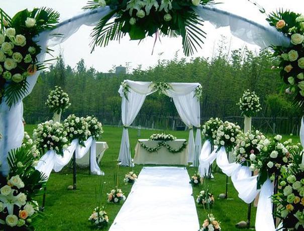 The Partyz Wedding Planners weddingplz