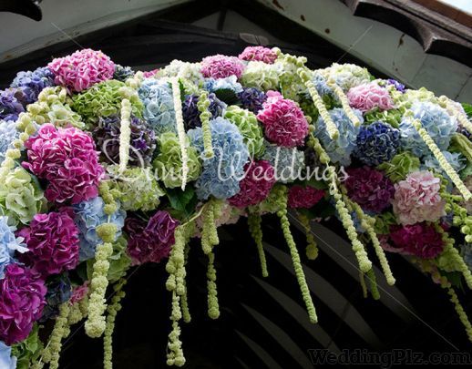Dune Weddings Wedding Planners weddingplz