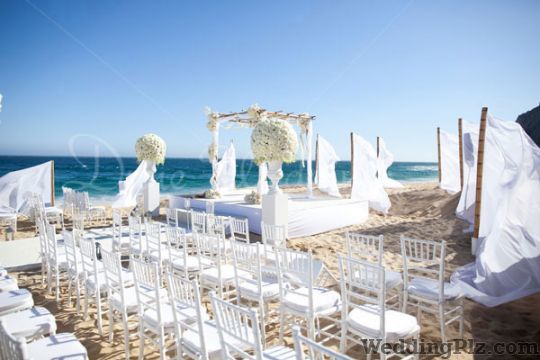 Dune Weddings Wedding Planners weddingplz
