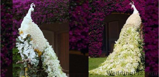 The Wedding House Wedding Planners weddingplz