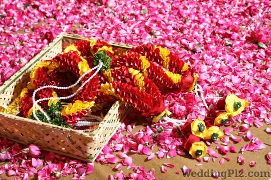 Shubham Wedding Planner Wedding Planners weddingplz