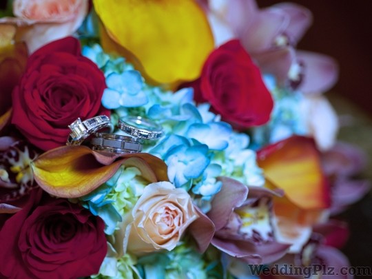 Mpire Weddings Wedding Planners weddingplz